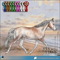 Horse Color:Gold Champagne Onyx Mushroom Sabino 