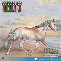 Horse Color:Gold Champagne Onyx Mushroom Sabino 