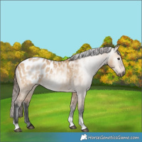 Horse Color:Gray Bay Dun Tobiano Blanket Rabicano 