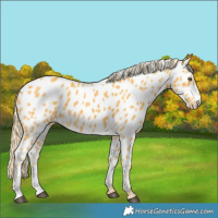 Horse Color:Palomino Near Leopard