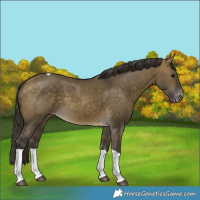 Horse Color:Buckskin Dun Tobiano Varnish Rabicano