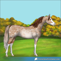 Horse Color:Red Dun Ice Splash