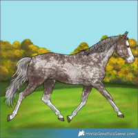 Horse Color:Silver Black Ice Splash 