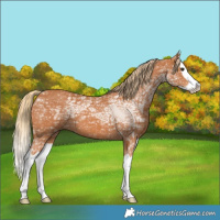 Horse Color:Chestnut Ice Splash
