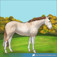 Horse Color:Red Dun Ice Splash
