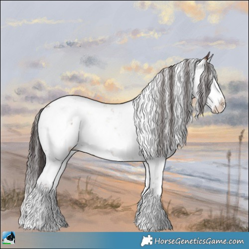 Horse Color:Classic Champagne Onyx Mushroom Sabino 