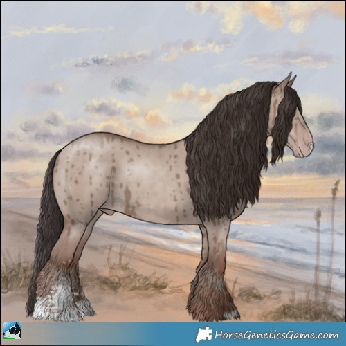 Horse Color:Classic Champagne Dun Mushroom Sabino Rabicano Brindle 