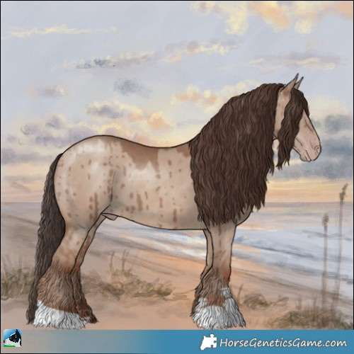 Horse Color:Classic Champagne Dun Brindle 