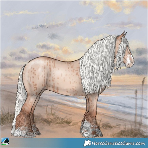 Horse Color:Gold Champagne Dun Mushroom Sabino Brindle 