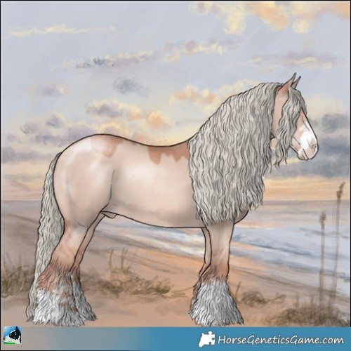 Horse Color:Gold Champagne Dun Mushroom Sabino 