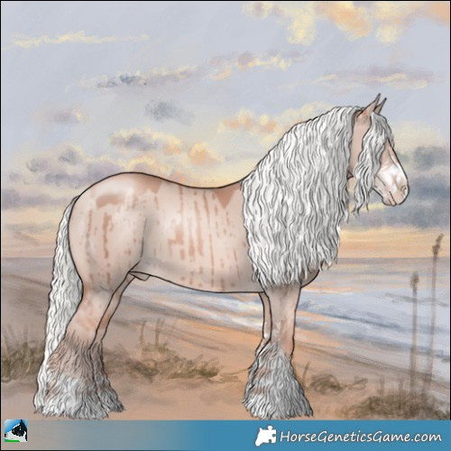 Horse Color:Gold Champagne Dun Mushroom Sabino Brindle 