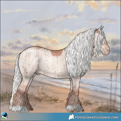 Horse Color:Gold Champagne Dun Mushroom Brindle 