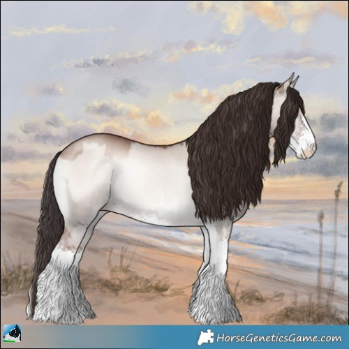 Horse Color:Classic Champagne Onyx Mushroom Sabino Rabicano 
