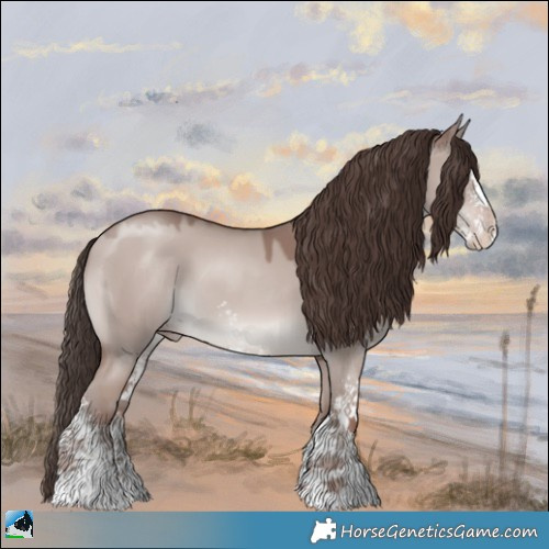 Horse Color:Classic Champagne Dun Mushroom Sabino 