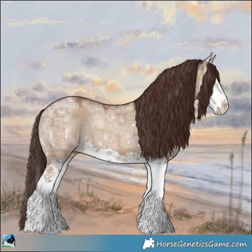 Horse Color:Classic Champagne Ice Dun Splash 