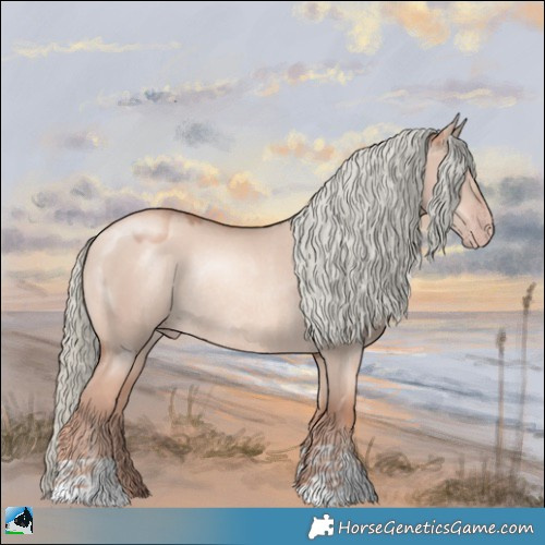 Horse Color:Gold Champagne Dun Mushroom Rabicano 