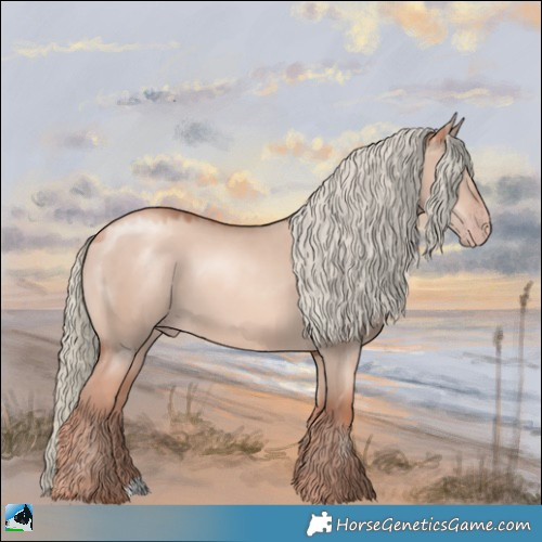 Horse Color:Gold Champagne Dun Mushroom 