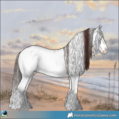 Horse Color:Classic Champagne Onyx Sabino Splash 