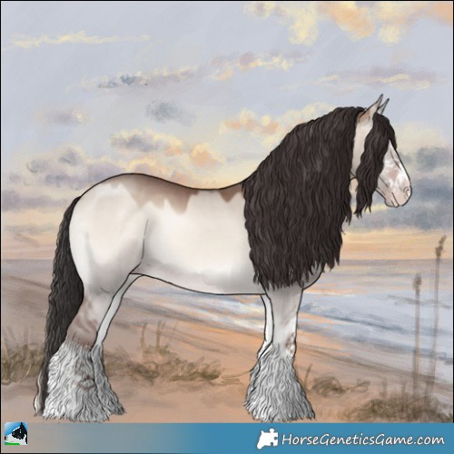 Horse Color:Sable Champagne Onyx Mushroom Sabino 