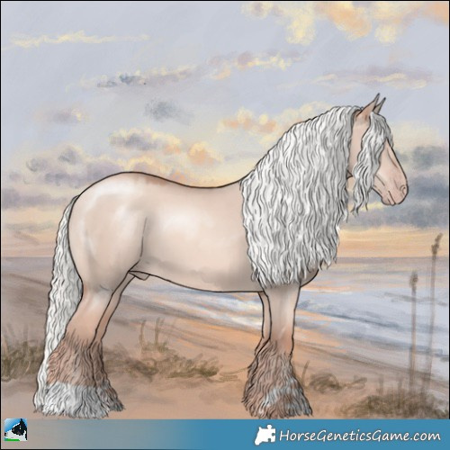 Horse Color:Gold Champagne Dun Mushroom 