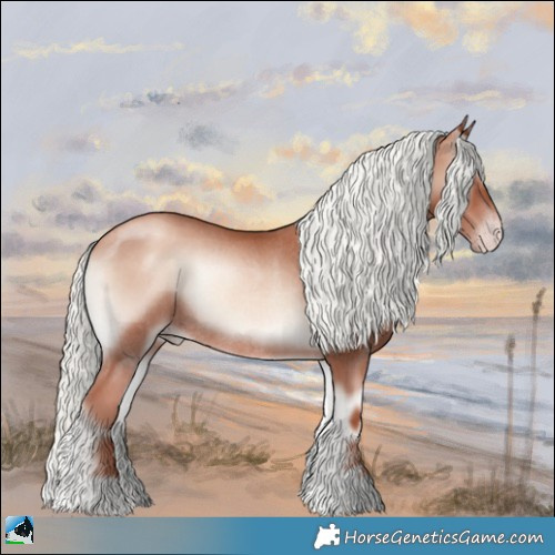 Horse Color:Gold Champagne Onyx Mushroom Rabicano 