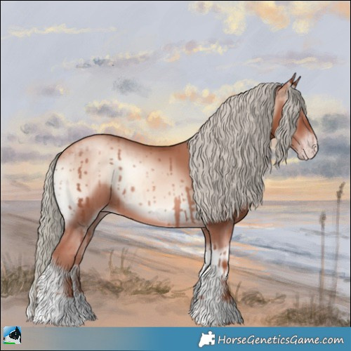 Horse Color:Gold Champagne Onyx Mushroom 