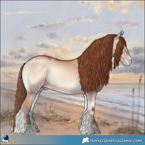 Horse Color:Gold Champagne Onyx Rabicano 