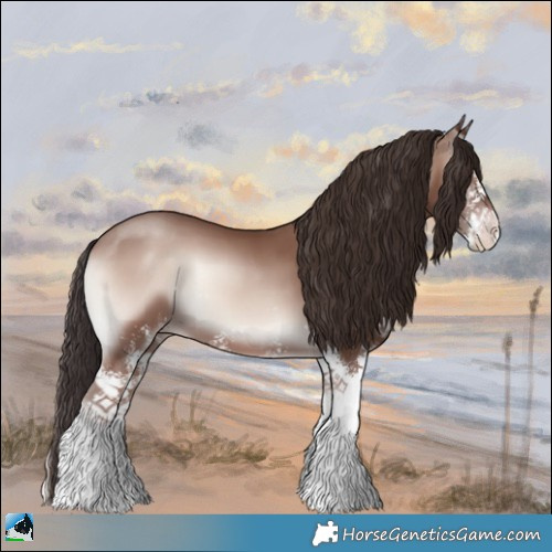 Horse Color:Classic Champagne Onyx Mushroom Sabino 
