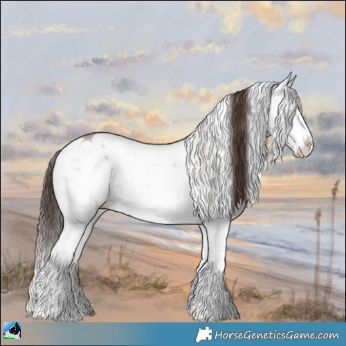 Horse Color:Classic Champagne Dun Mushroom Sabino Splash 