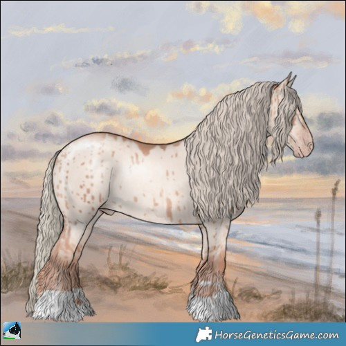 Horse Color:Gold Champagne Dun Mushroom Rabicano Brindle 