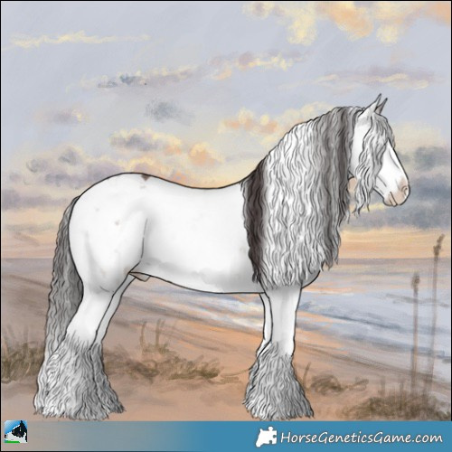 Horse Color:Sable Champagne Dun Mushroom Sabino Splash Rabicano 