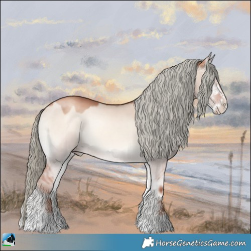 Horse Color:Gold Champagne Onyx Mushroom Sabino 