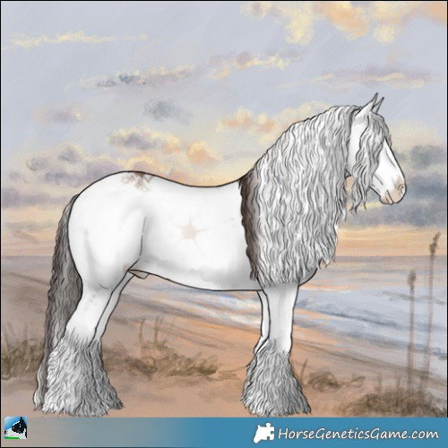 Horse Color:Classic Champagne Onyx Mushroom Sabino Rabicano 