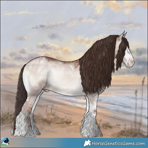 Horse Color:Classic Champagne Ice Onyx Mushroom Sabino Rabicano 