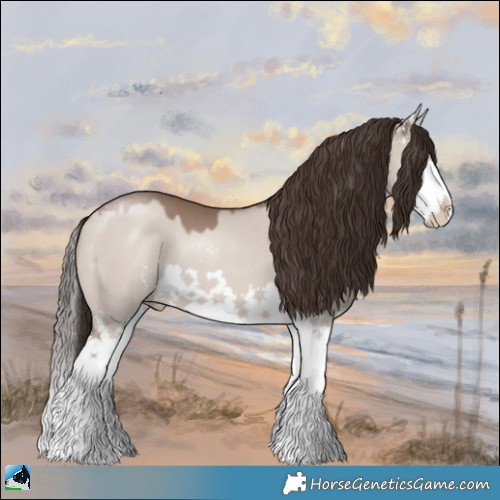 Horse Color:Classic Champagne Dun Mushroom Sabino Splash 