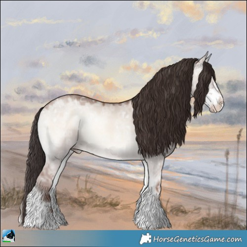 Horse Color:Classic Champagne Ice Onyx Mushroom Sabino 