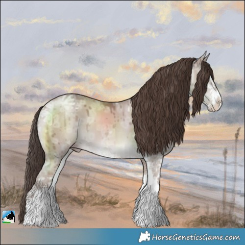Horse Color:Classic Champagne Ice Dun Mushroom Sabino Brindle 