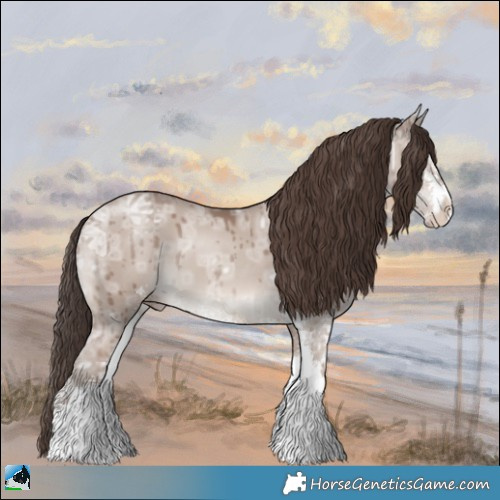 Horse Color:Classic Champagne Ice Dun Mushroom Sabino Brindle 