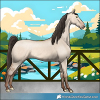 Horse Color:Amber Champagne Dun 