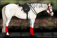 Horse Color:Perlino Roan Tobiano 