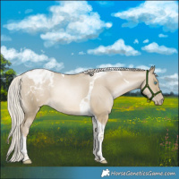 Horse Color:Silver Smoky Grullo Snowdrop Tobiano Varnish Rabicano 