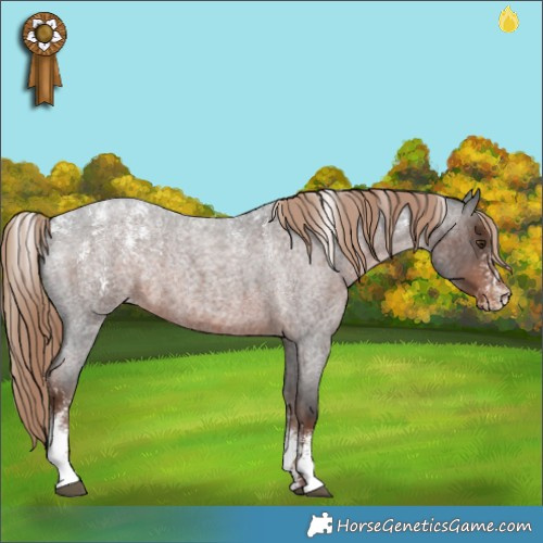 Horse Color:Powder White Liver Red Roan Appaloosa 