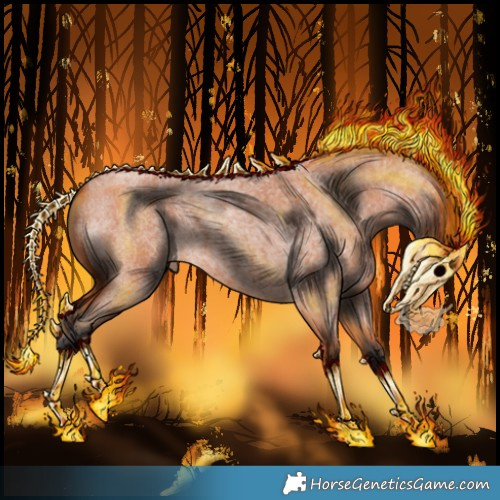 Horse Color:Bay Roan 