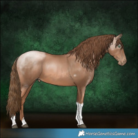 Horse Color:White Spotted Liver Chestnut Pearl Tobiano 
