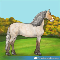 Horse Color:Silver Buckskin Roan Splash 