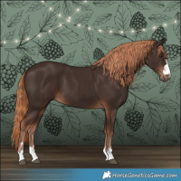 Horse Color:Liver Chestnut 