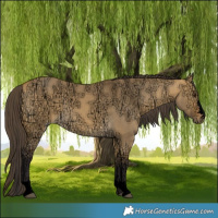 Horse Color:Void Buckskin Ice Dun 
