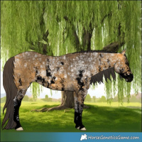 Horse Color:Void Buckskin Ice Sabino 