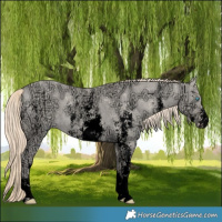 Horse Color:Void Perlino Ice Dun Sabino 