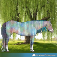Horse Color:Nacre Bay Ice Dun Splash 